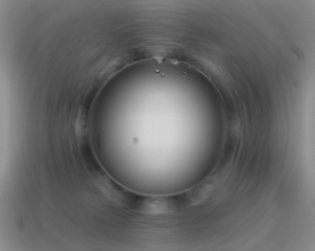 X0000114510181200910191141