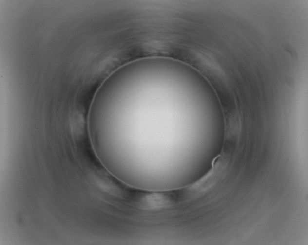 X0000114510183200910191141