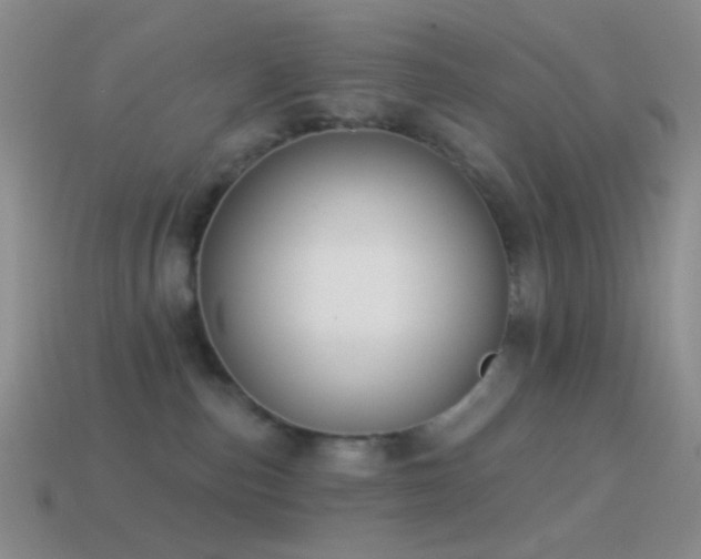 X0000114510187200910191141