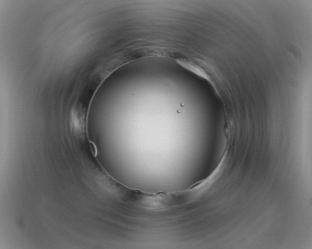 X0000114510190200910191141