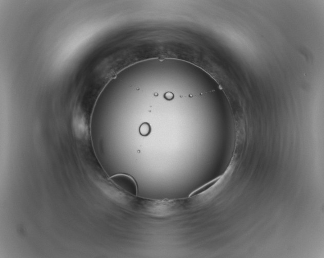 X0000114510191200910191141