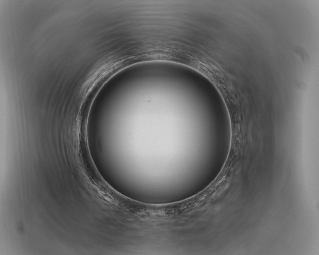 X0000114510194200910191140