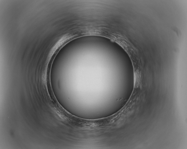 X0000114510195200910191140