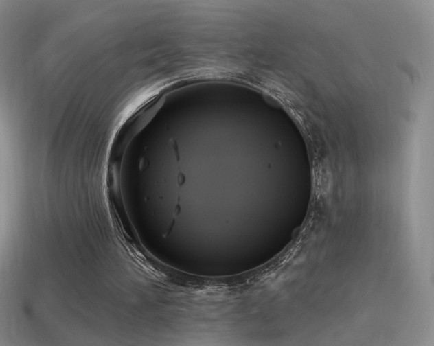 X0000114510196200910191140