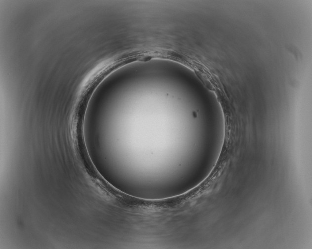 X0000114510197200910191140