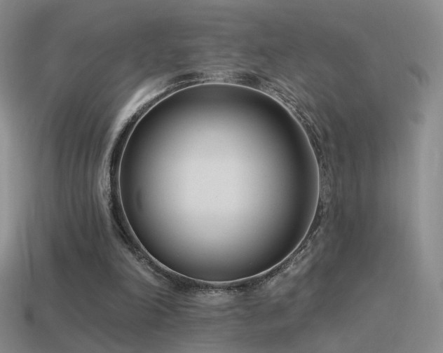 X0000114510198200910191140