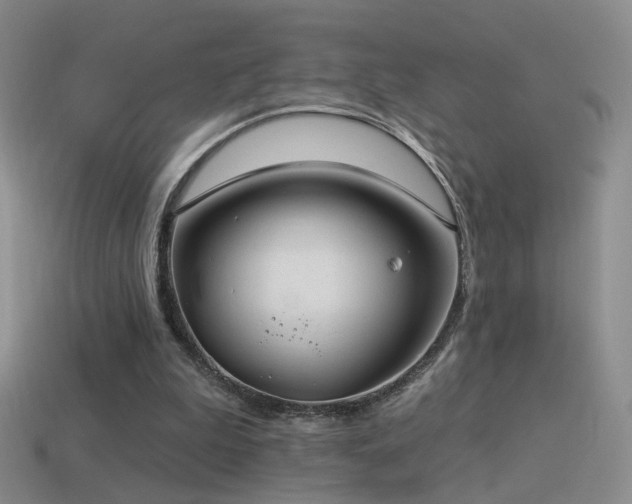 X0000114510199200910191140