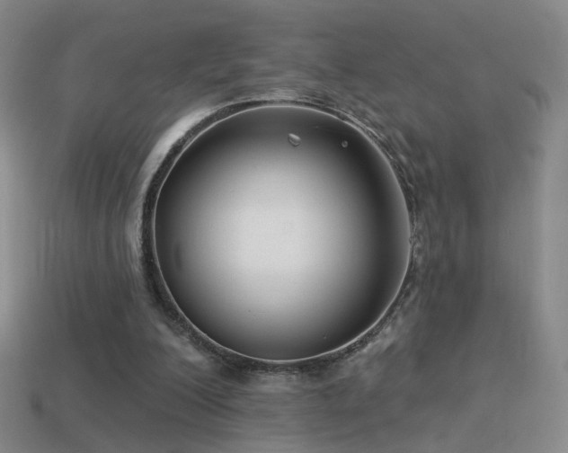 X0000114510200200910191140