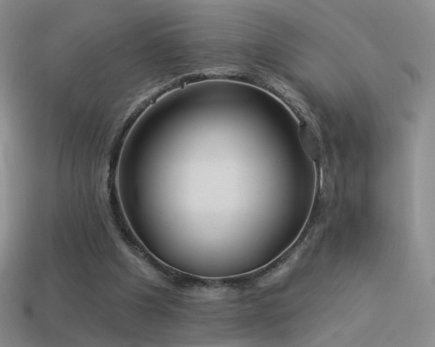 X0000114510201200910191140