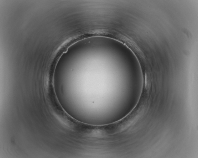 X0000114510204200910191140