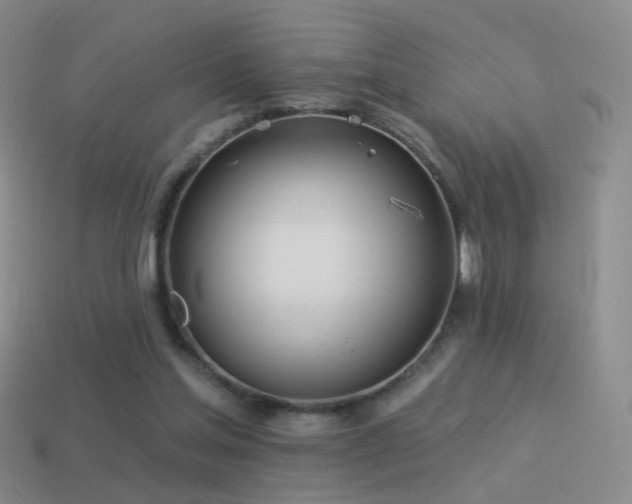 X0000114510205200910191140