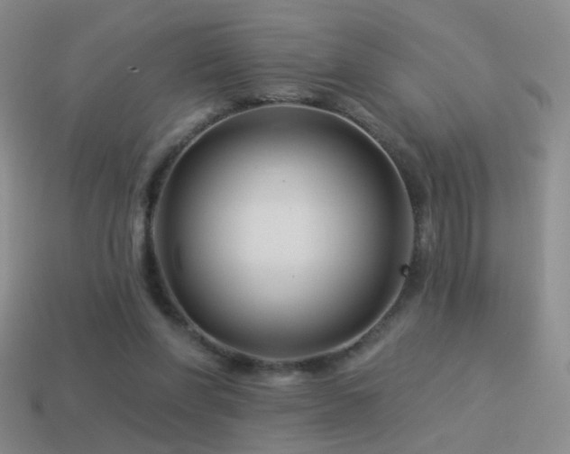 X0000114510206200910191140