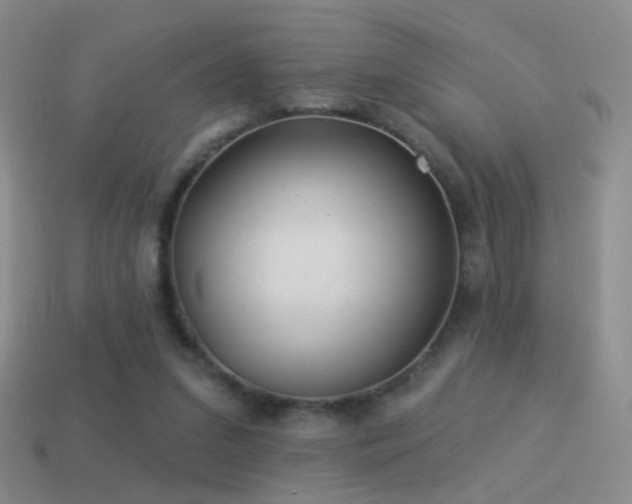 X0000114510207200910191140