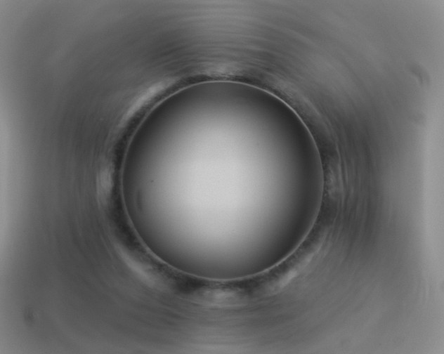 X0000114510208200910191140