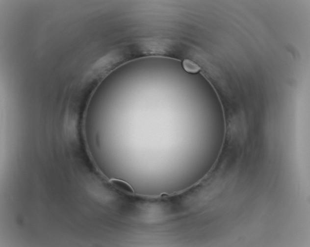 X0000114510209200910191140