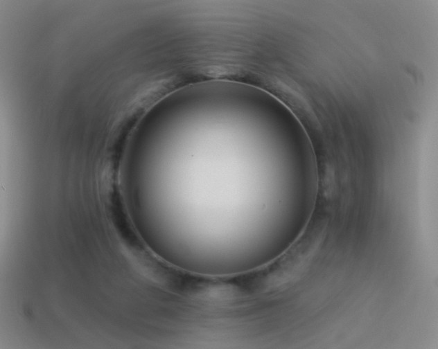 X0000114510210200910191140