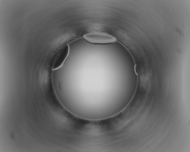 X0000114510211200910191140