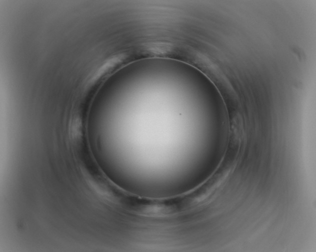 X0000114510212200910191140