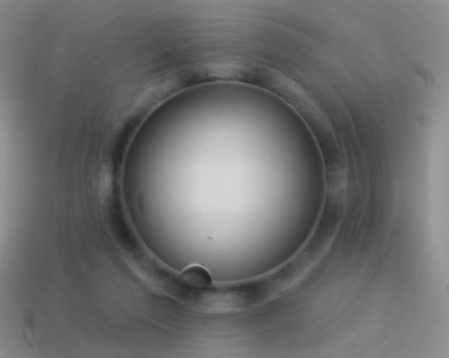 X0000114510213200910191140