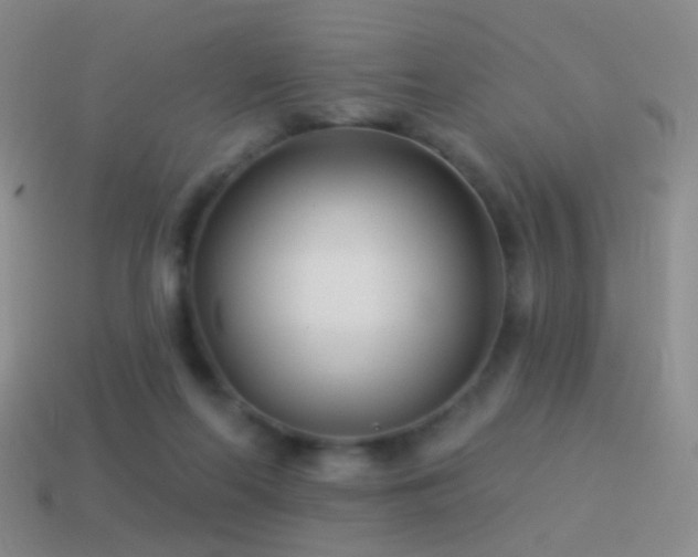 X0000114510214200910191140