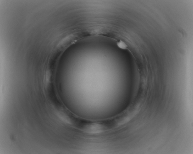 X0000114510219200910191140