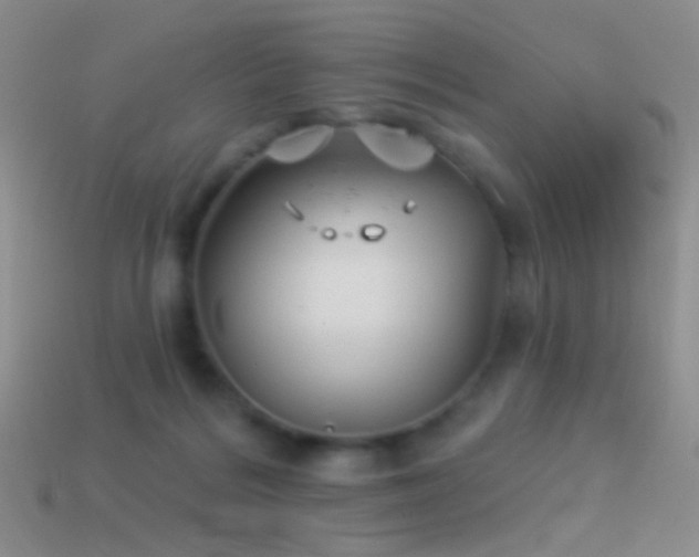 X0000114510220200910191140