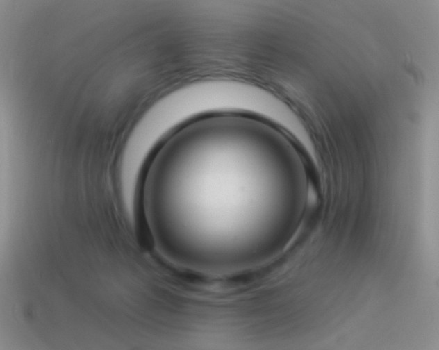 X0000114510221200910191140