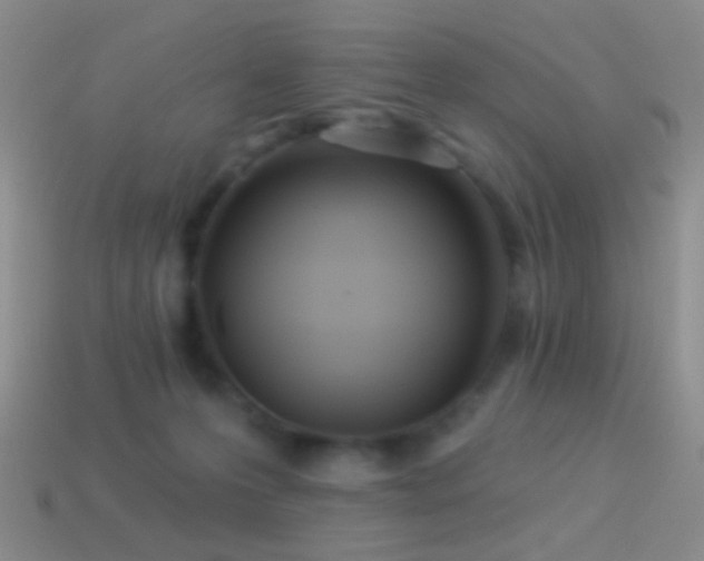 X0000114510223200910191140