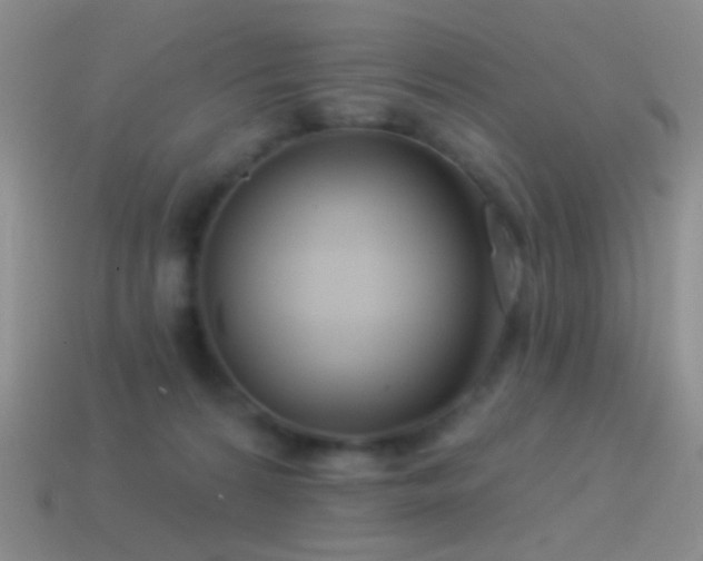 X0000114510224200910191140