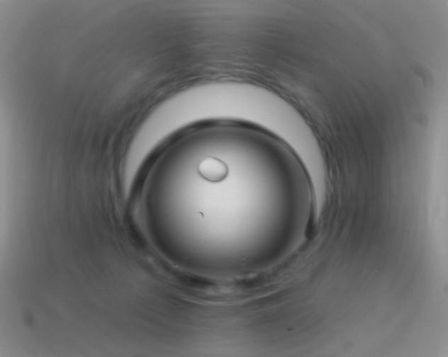 X0000114510225200910191140