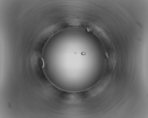 X0000114510229200910191140