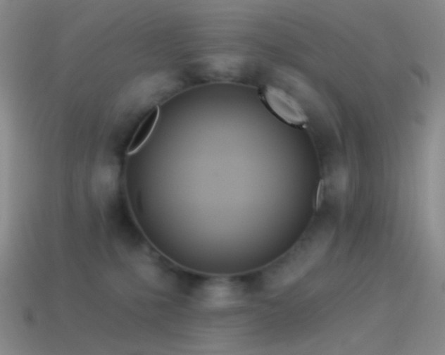 X0000114510231200910191140