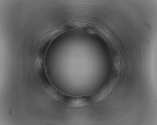 X0000114510235200910191140