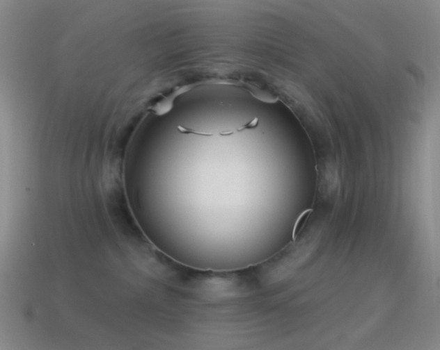 X0000114510236200910191140