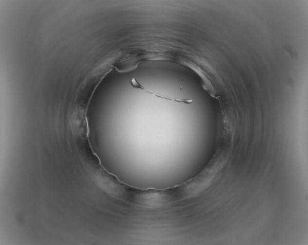 X0000114510237200910191140