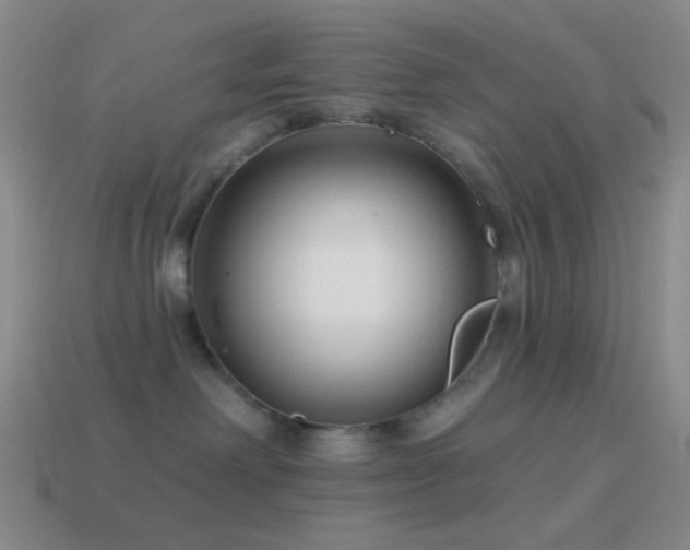 X0000114510238200910191140