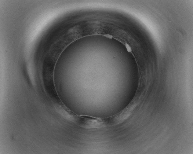 X0000114510239200910191140