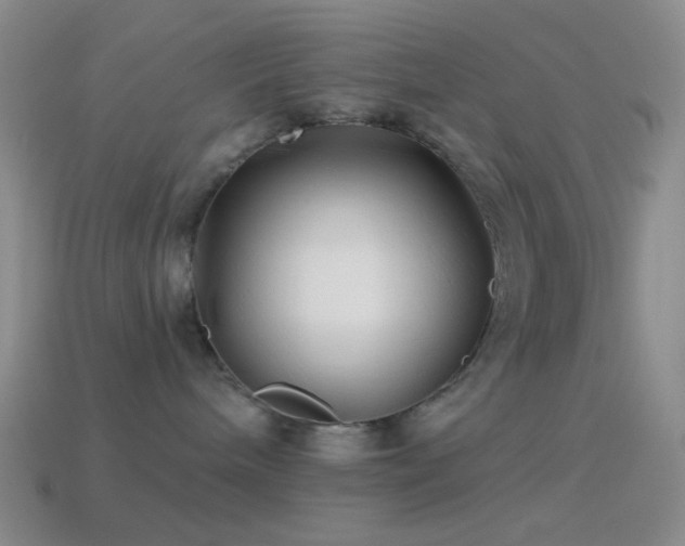 X0000114510240200910191140