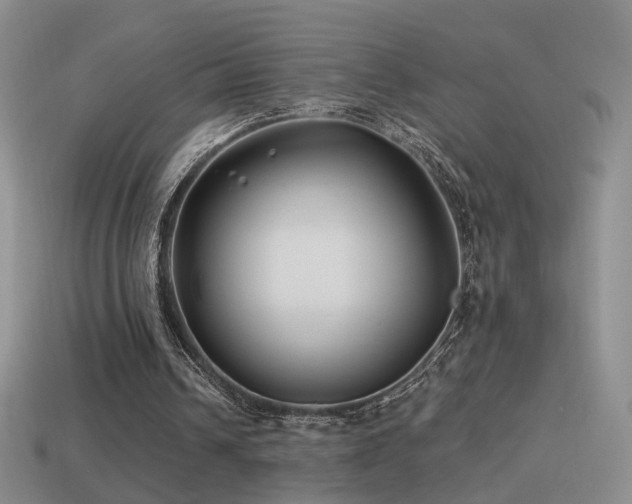 X0000114510242200910191139