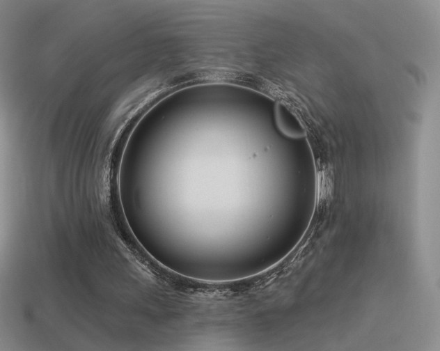 X0000114510243200910191139