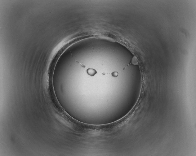 X0000114510246200910191139