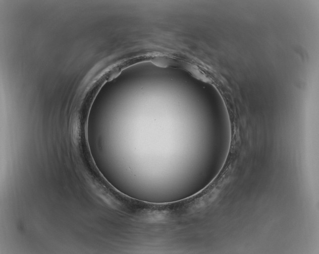 X0000114510247200910191139