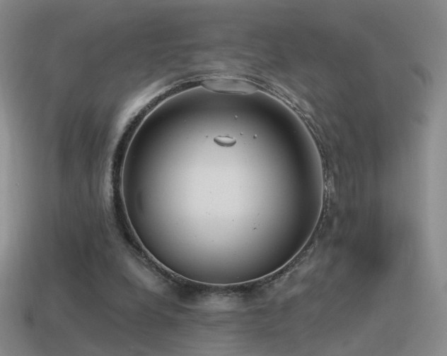 X0000114510248200910191139