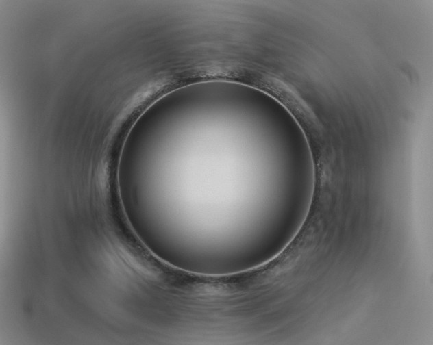 X0000114510250200910191139