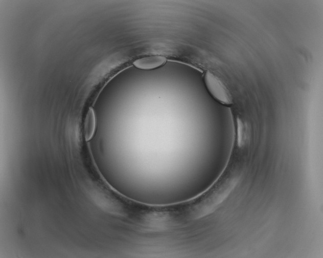 X0000114510252200910191139