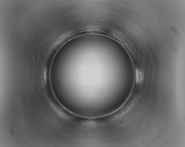 X0000114510253200910191139