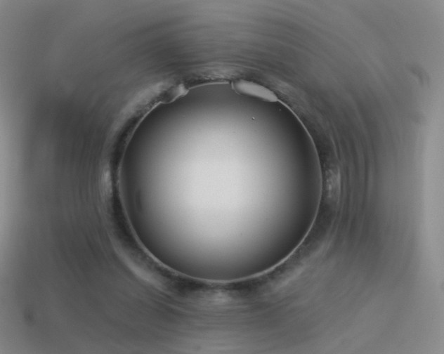 X0000114510254200910191139