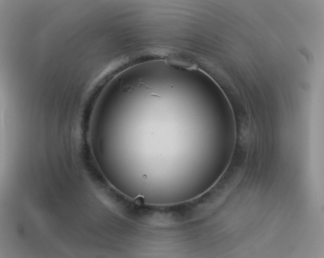 X0000114510256200910191139