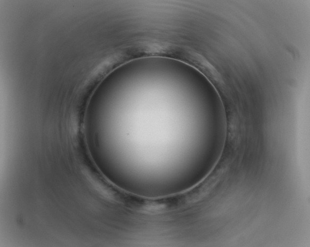 X0000114510257200910191139