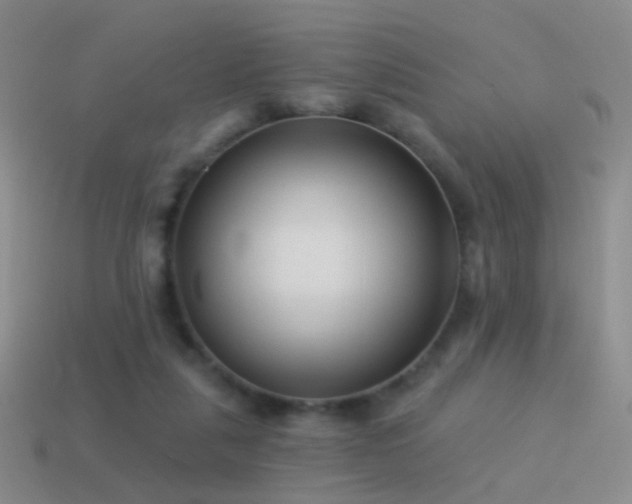 X0000114510259200910191139